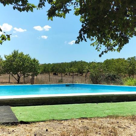 Rod Ranch Livestock - Stanza Doppia Con Letti Singoli Villa Campagnano Di Roma Exteriör bild