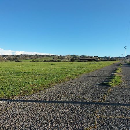 Rod Ranch Livestock - Stanza Doppia Con Letti Singoli Villa Campagnano Di Roma Exteriör bild