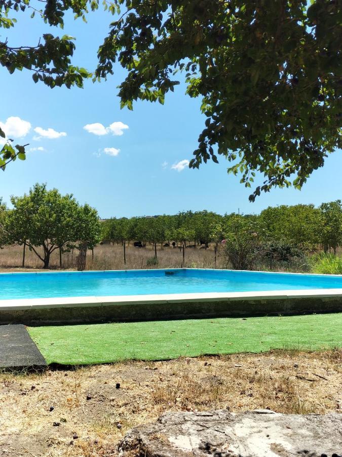 Rod Ranch Livestock - Stanza Doppia Con Letti Singoli Villa Campagnano Di Roma Exteriör bild